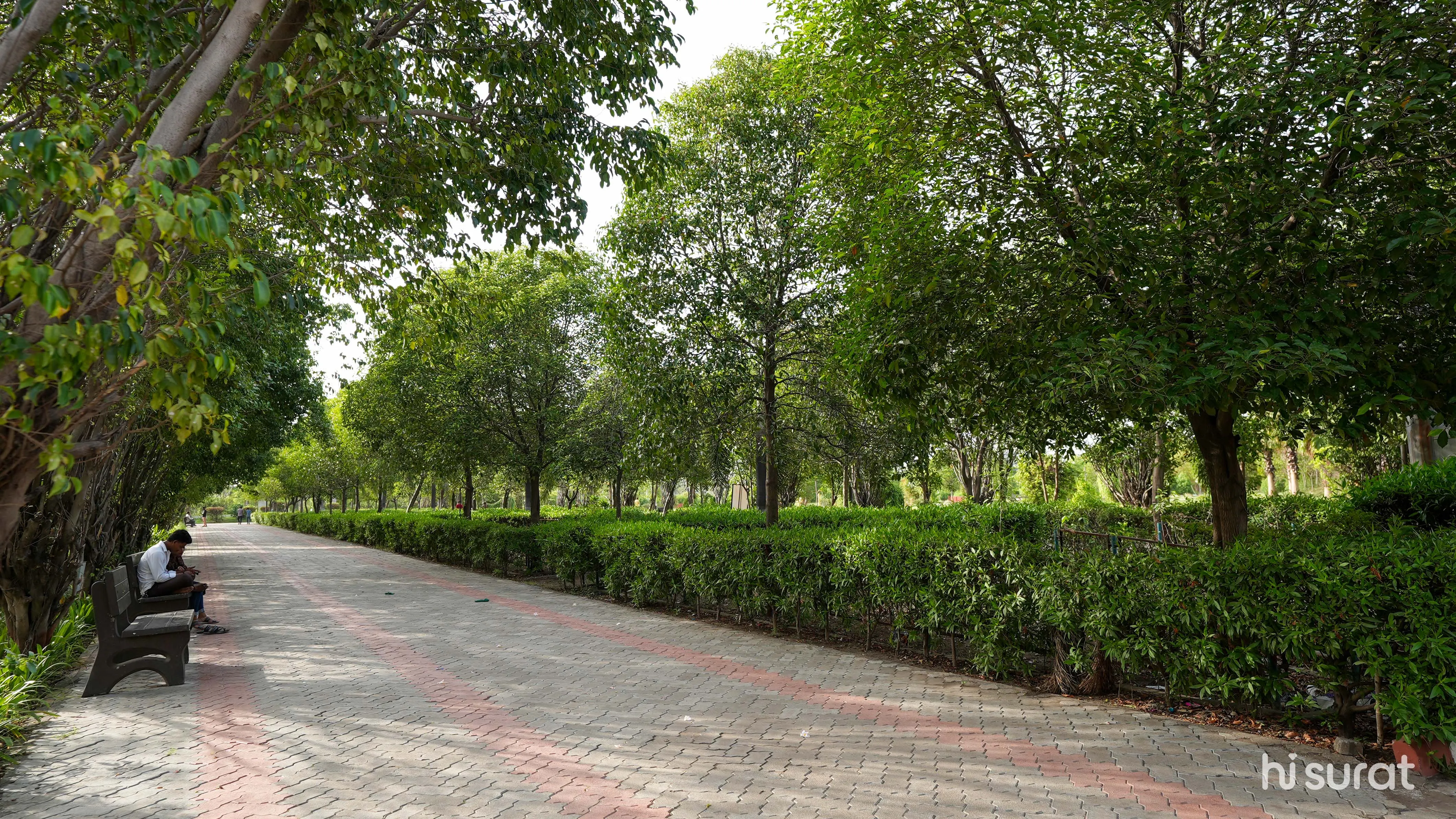 description
